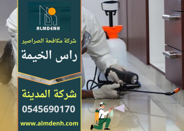 عامل متخصص من شركة مكافحة الصراصير في راس الخيمة ينفذ معالجة احترافية داخل المطبخ باستخدام معدات حديثة للقضاء على الصراصير بشكل آمن.