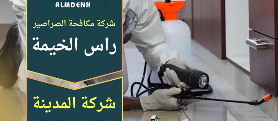 عامل متخصص من شركة مكافحة الصراصير في راس الخيمة ينفذ معالجة احترافية داخل المطبخ باستخدام معدات حديثة للقضاء على الصراصير بشكل آمن.