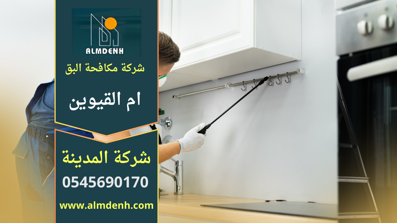 صورة توضح فريق متخصص من شركة مكافحة البق في ام القيوين وهو ينفذ معالجة احترافية داخل غرفة نوم باستخدام معدات حرارية ورش آمن للقضاء على البق بشكل كامل.