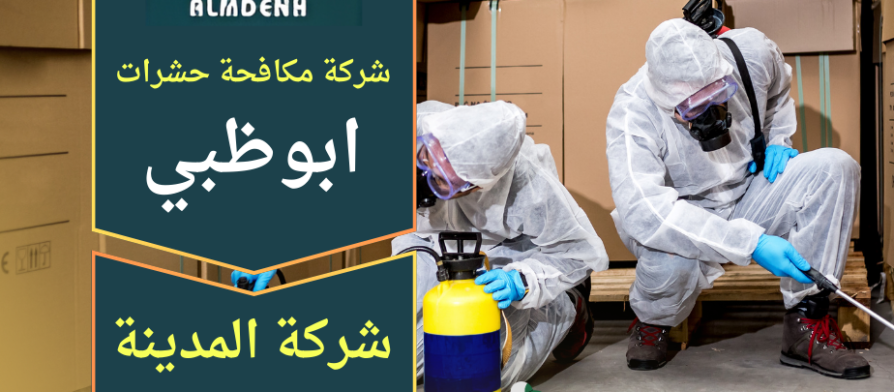 صورة لفريق متخصص من شركة مكافحة حشرات في ابوظبي يستخدم معدات حديثة لرش المبيدات داخل منزل لضمان التخلص من الحشرات بالكامل.