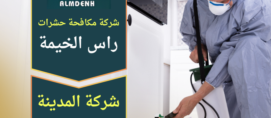 صورة توضح فريق متخصص من شركة مكافحة حشرات في راس الخيمة ينفذ معالجة احترافية داخل منزل باستخدام مبيدات آمنة وادوات حديثة للقضاء على الحشرات بسرعة.
