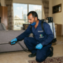 شركة مكافحة حشرات في الشارقة