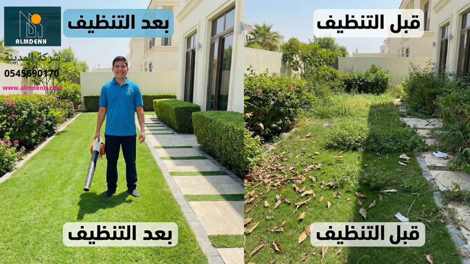 صورة مقارنة قبل وبعد تنظيف حديقة فيلا مهملة تظهر كفاءة عمال شركة تنظيف فلل عجمان في تنسيق العشب وإزالة المخلفات الزراعية وترتيب الممرات.