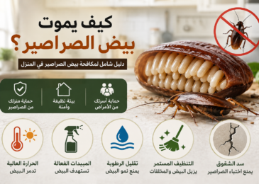 كيف يموت بيض الصراصير