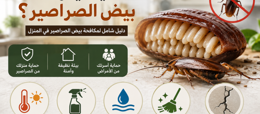 كيف يموت بيض الصراصير