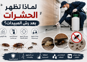 لماذا تظهر الحشرات بعد الرش