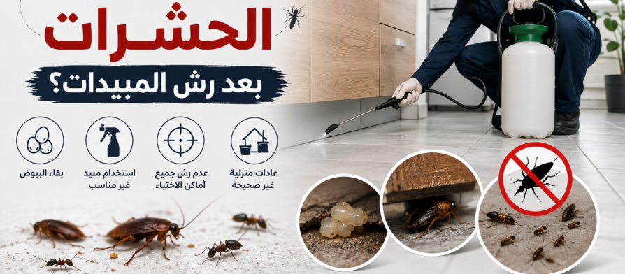 لماذا تظهر الحشرات بعد الرش